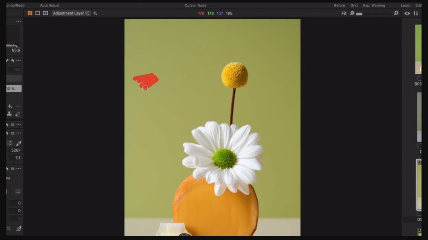 Top Black Friday 2021 Deals for Photographers: Cameras, Lenses & Gear