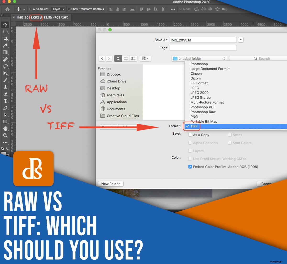 RAW vs. TIFF: Ultimate Guide to Choosing the Best File Format for Photographers