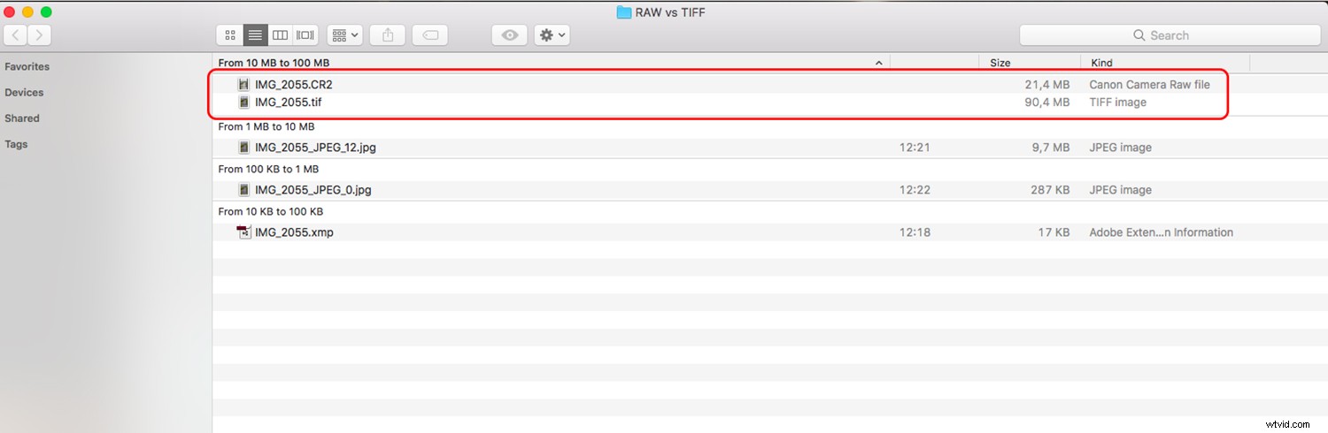 RAW vs. TIFF: Ultimate Guide to Choosing the Best File Format for Photographers