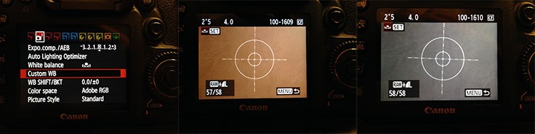 Master Perfect Exposure & Colors: How to Use a Gray Card in Photography (Step-by-Step Guide)