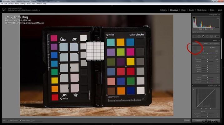 Master Perfect Exposure & Colors: How to Use a Gray Card in Photography (Step-by-Step Guide)