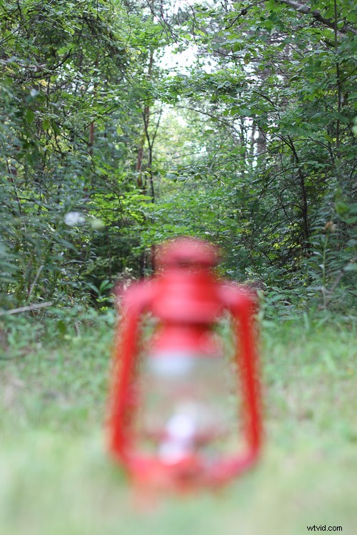 Mastering Symmetry in Photography: Ultimate Guide with Pro Tips & Examples