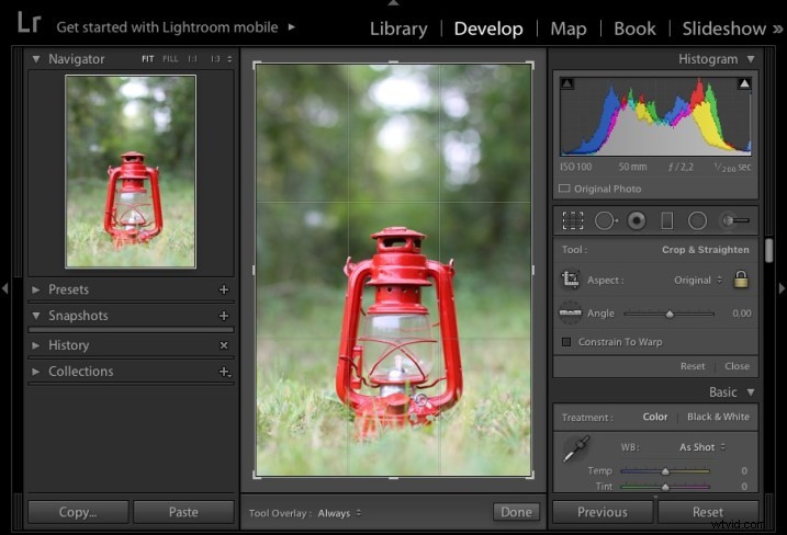 Mastering Symmetry in Photography: Ultimate Guide with Pro Tips & Examples