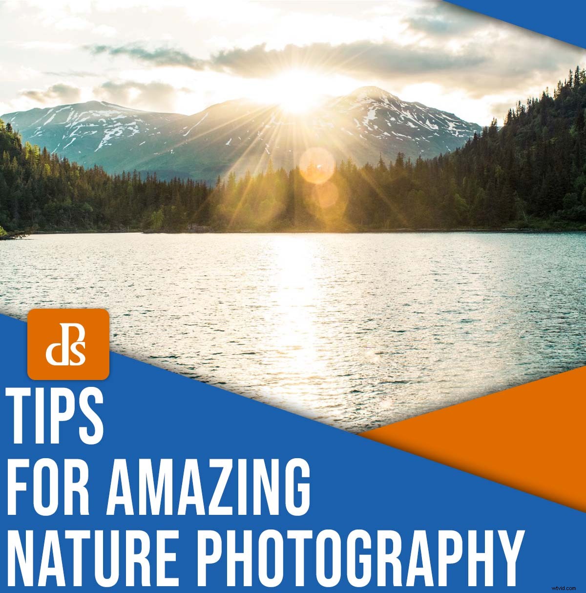 9 Expert Tips for Capturing Stunning Nature Photography