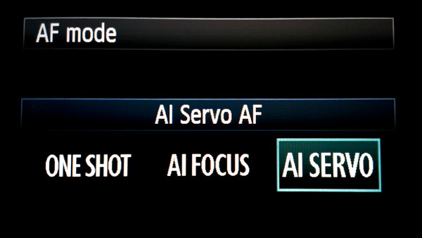 9 Expert Tips for Capturing Stunning Nature Photography