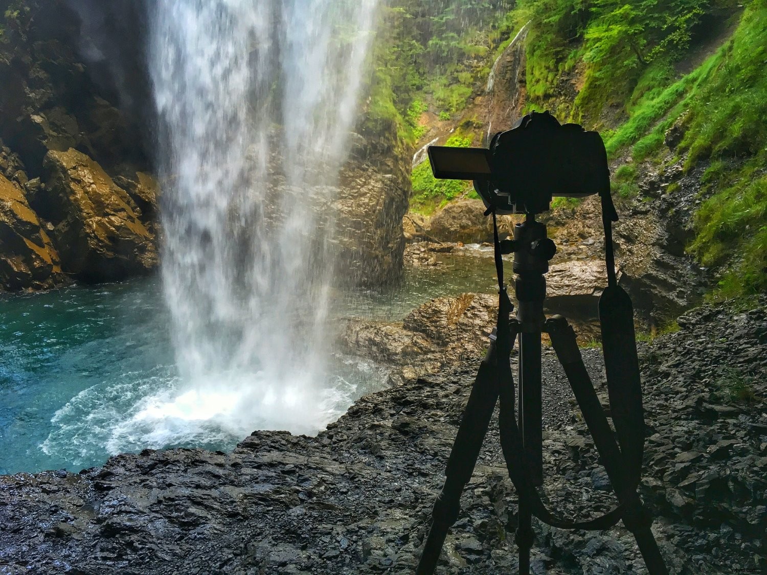 9 Expert Tips for Capturing Stunning Nature Photography