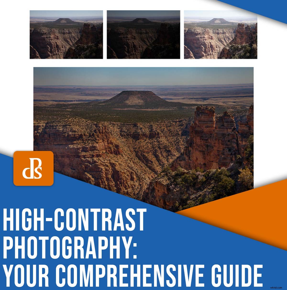 Master High-Contrast Photography: 6 Proven Tips for Stunning Results