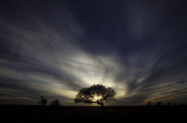 Master High-Contrast Photography: 6 Proven Tips for Stunning Results