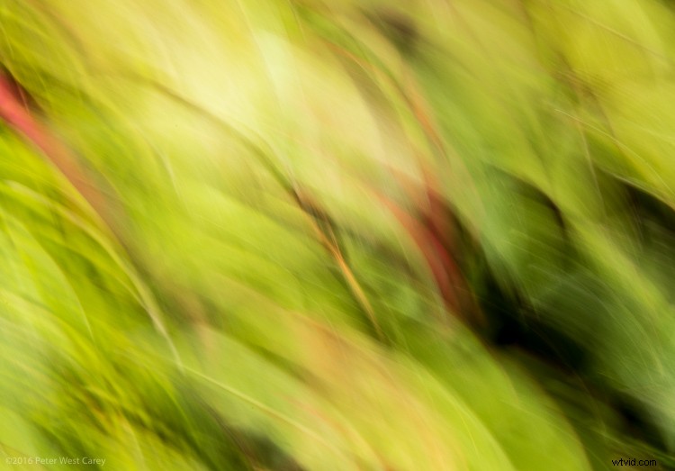 6 Expert Tips for Stunning Abstract Photography (With Examples)