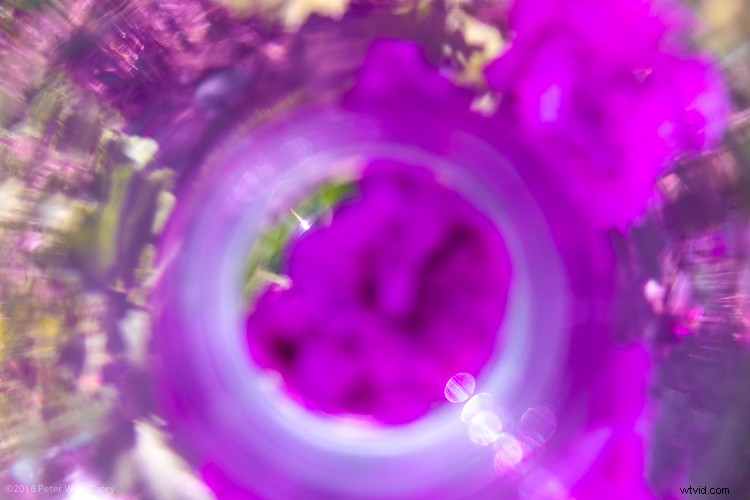 6 Expert Tips for Stunning Abstract Photography (With Examples)