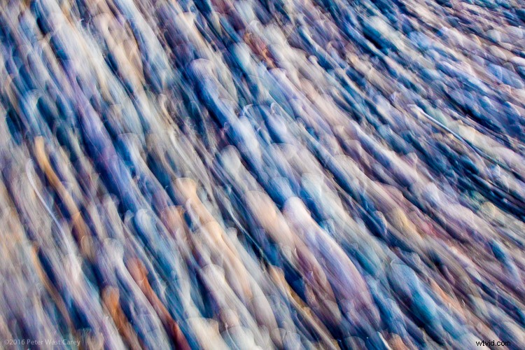 6 Expert Tips for Stunning Abstract Photography (With Examples)