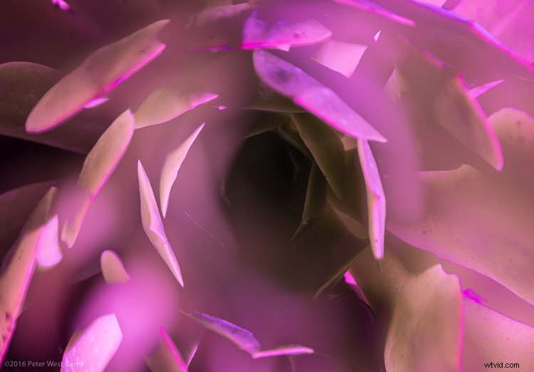 6 Expert Tips for Stunning Abstract Photography (With Examples)