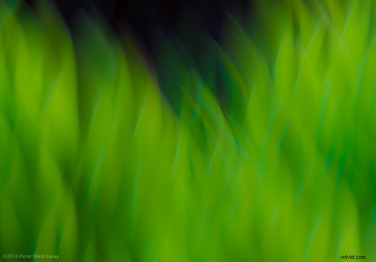6 Expert Tips for Stunning Abstract Photography (With Examples)