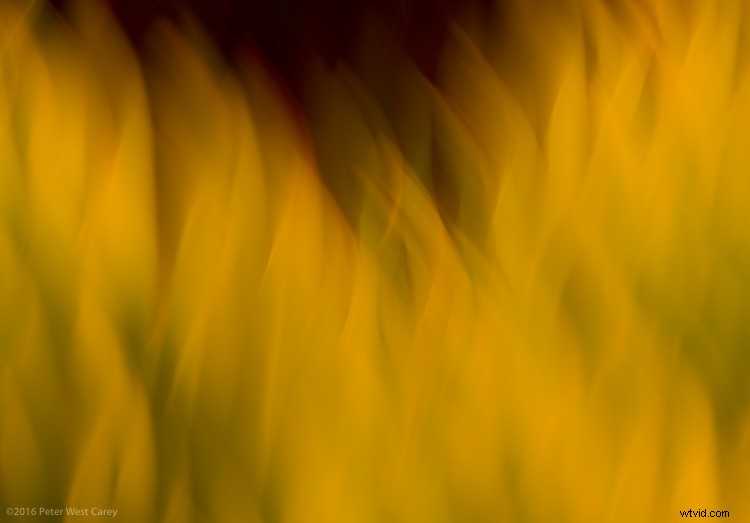 6 Expert Tips for Stunning Abstract Photography (With Examples)