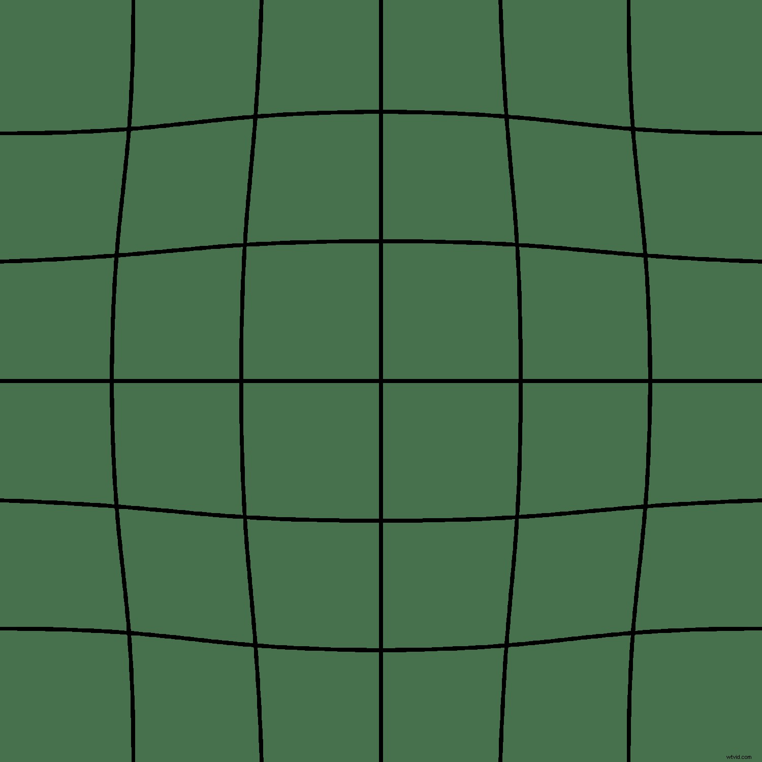 Understanding Lens Distortion in Photography: Causes, Types & Fixes – Quick Guide
