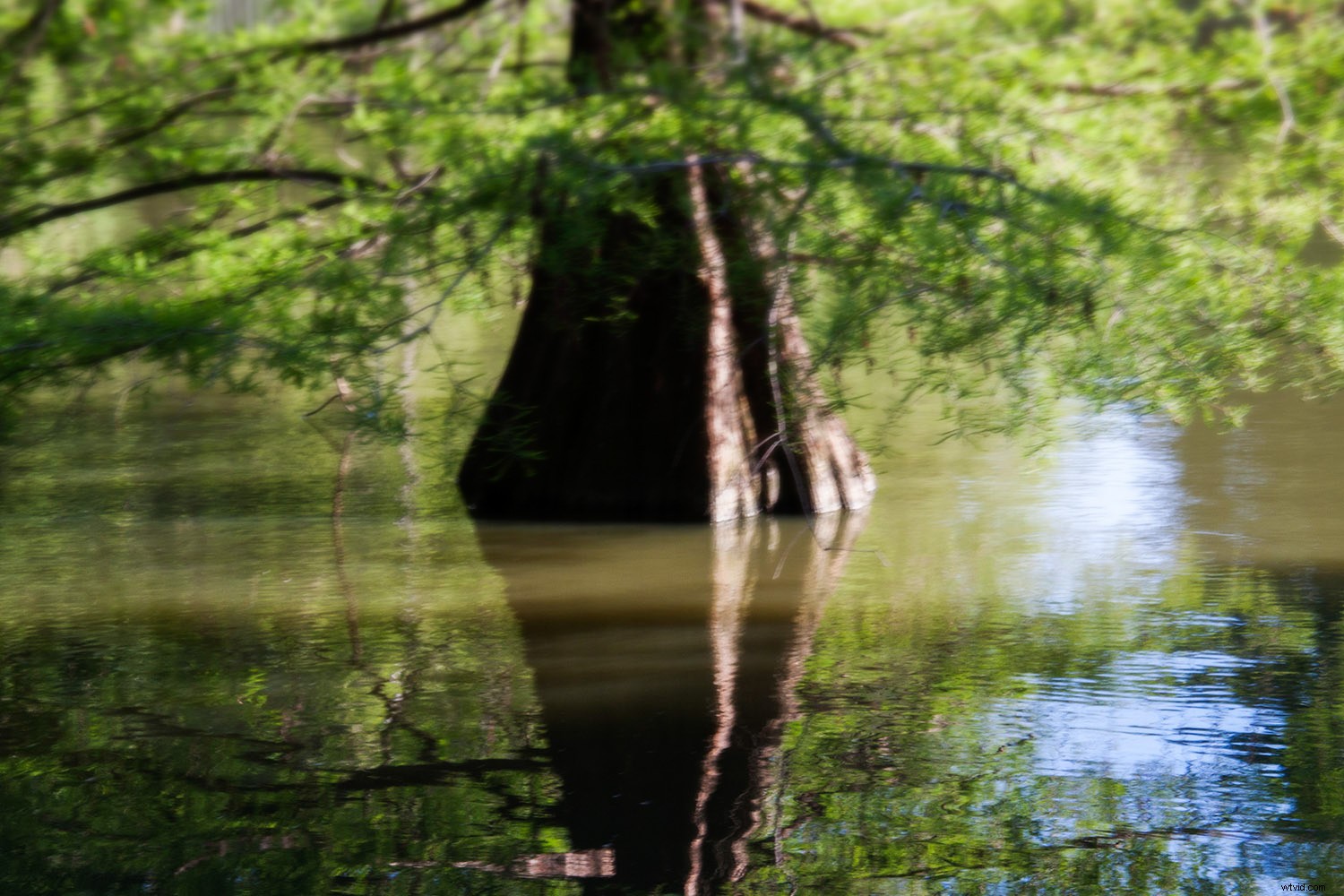 8 Expert Tips for Stunning Impressionistic Landscape Photography