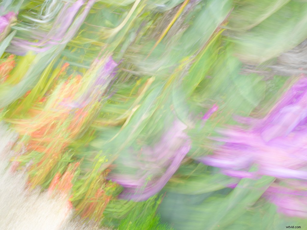 8 Expert Tips for Stunning Impressionistic Landscape Photography