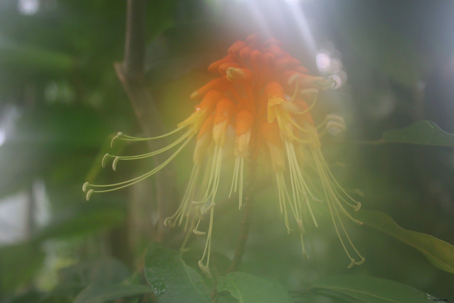 8 Expert Tips for Stunning Impressionistic Landscape Photography