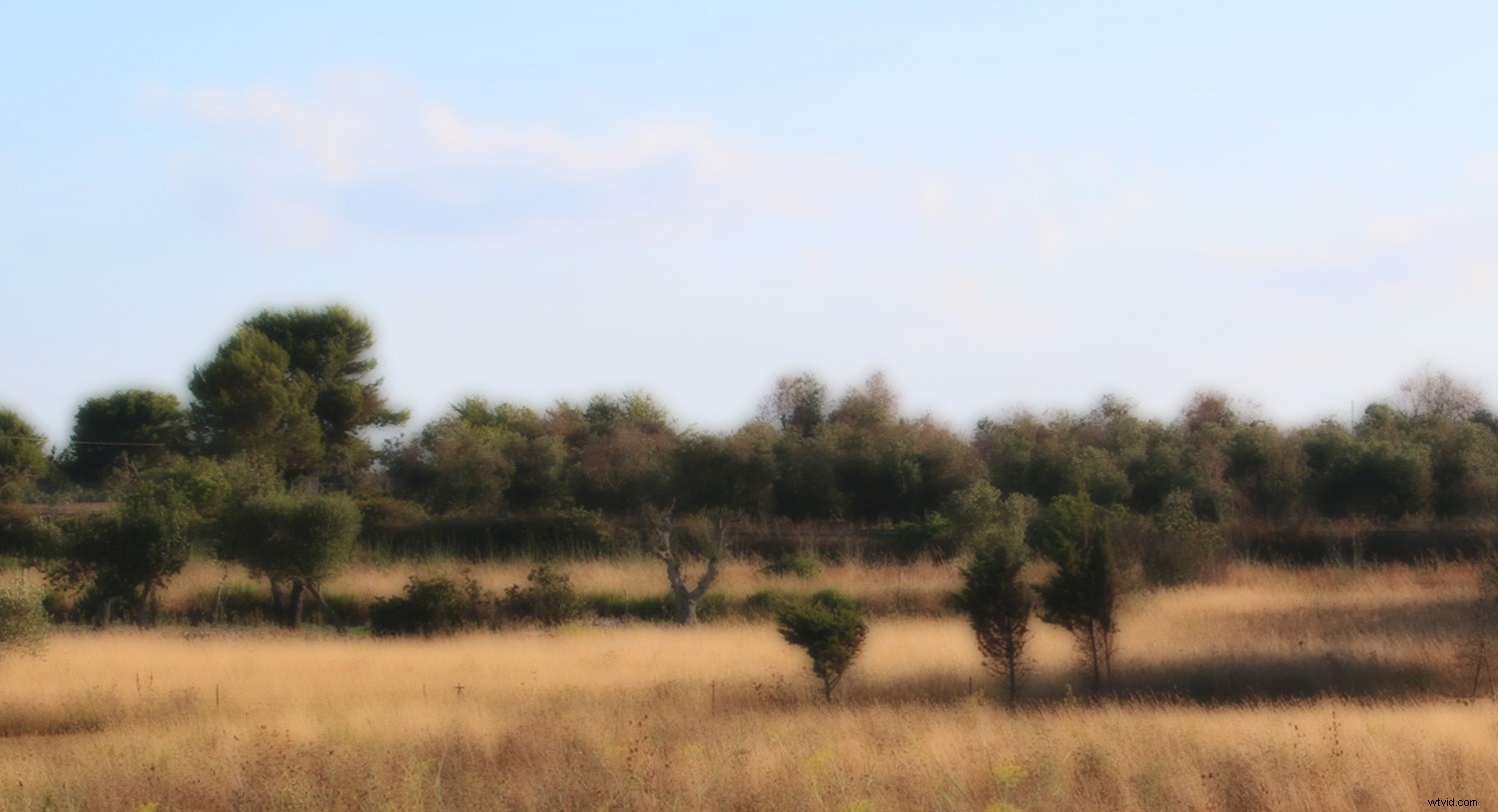 8 Expert Tips for Stunning Impressionistic Landscape Photography