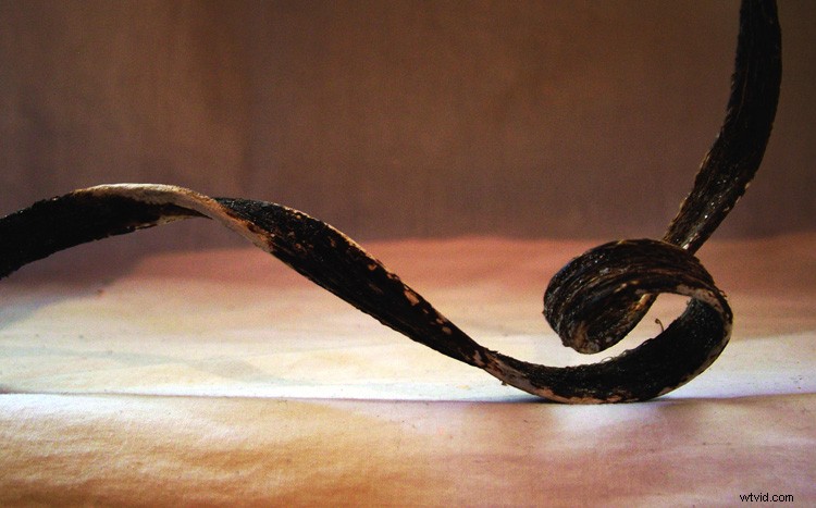 Master Still Life Photography: 5 Expert Tips to Elevate Your Images