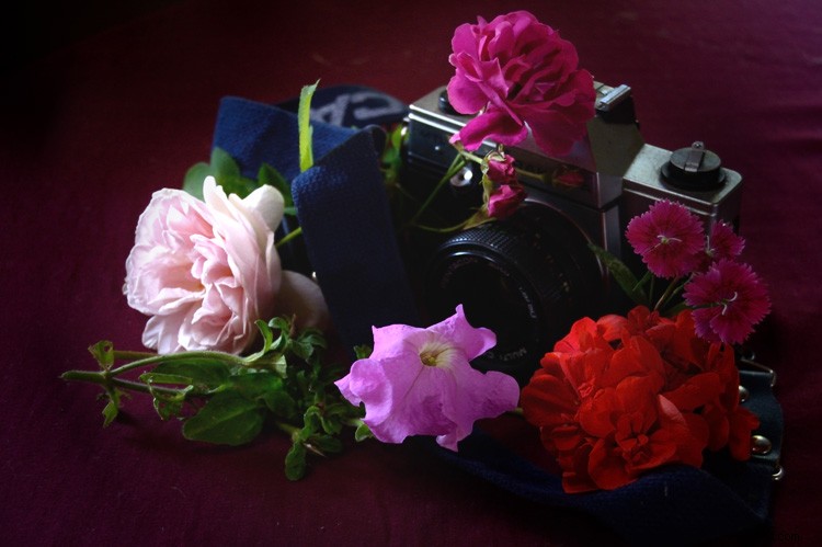 Master Still Life Photography: 5 Expert Tips to Elevate Your Images