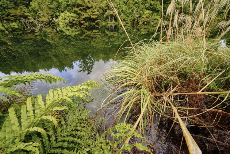 Ultimate Guide to Ultra-Wide Angle Lenses: 6 Reasons Every Photographer Loves Them