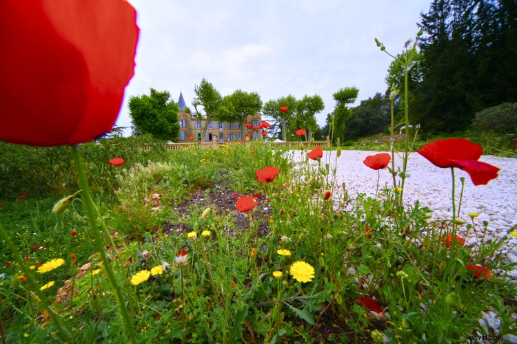 Ultimate Guide to Ultra-Wide Angle Lenses: 6 Reasons Every Photographer Loves Them