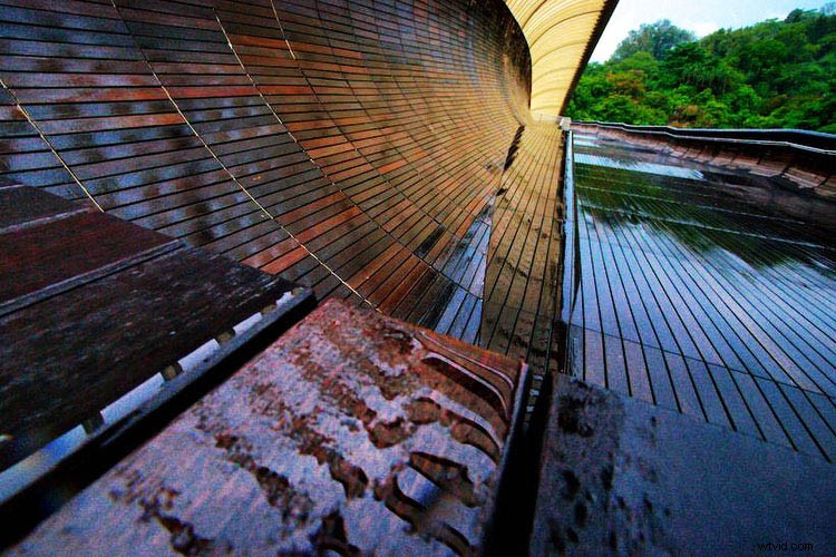 Ultimate Guide to Ultra-Wide Angle Lenses: 6 Reasons Every Photographer Loves Them