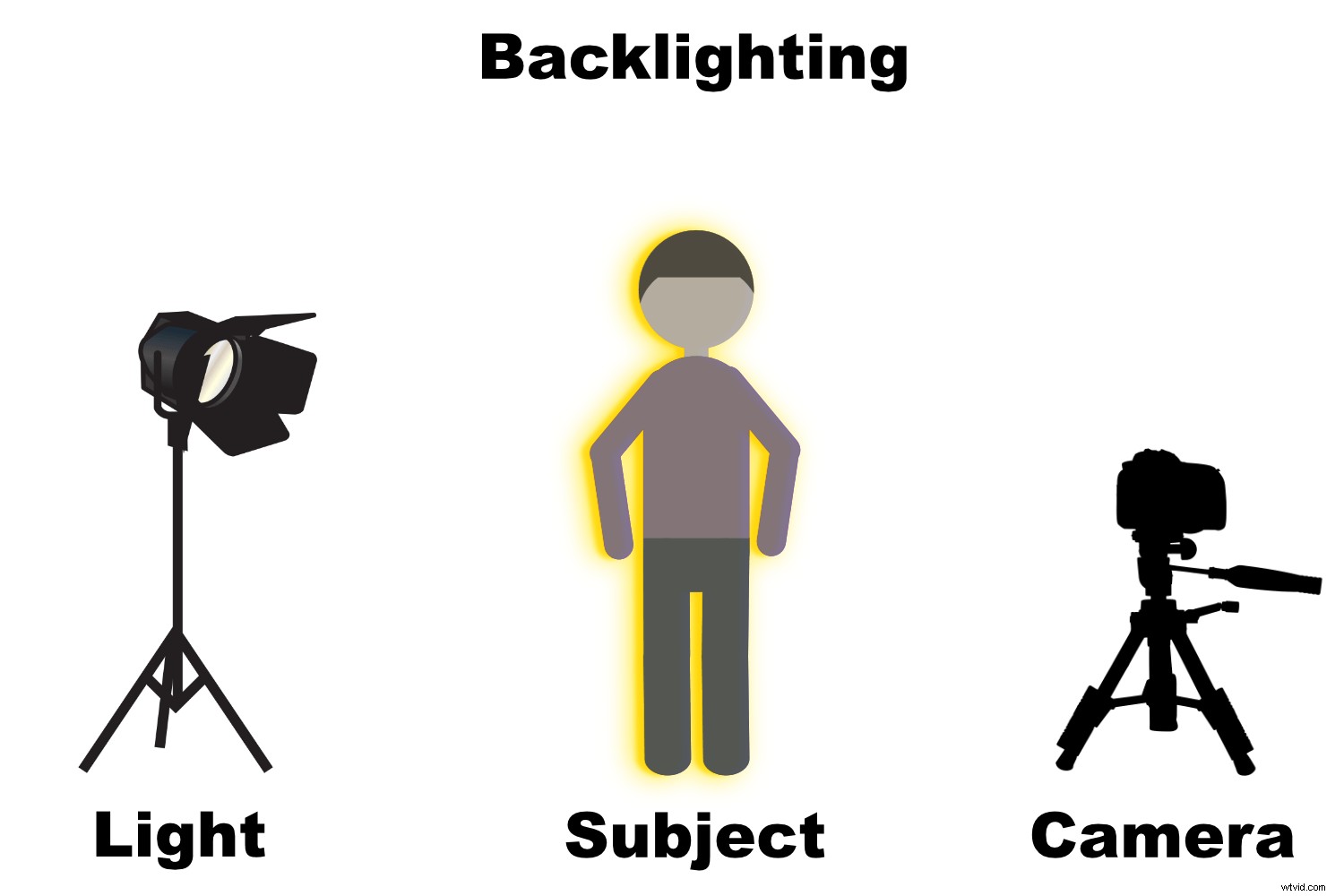 Master Backlighting in Photography: The Complete Guide to Stunning Shots