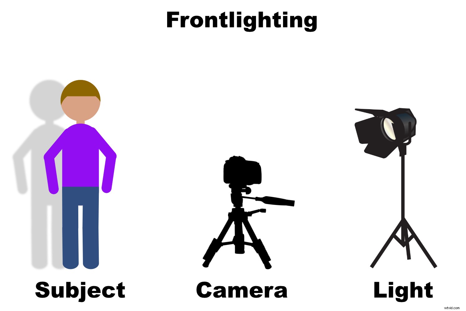 Master Backlighting in Photography: The Complete Guide to Stunning Shots