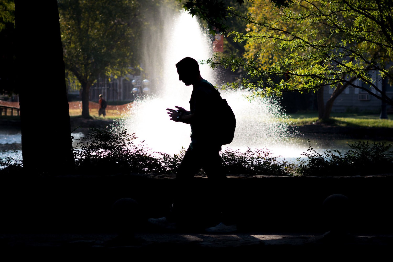 Master Backlighting in Photography: The Complete Guide to Stunning Shots
