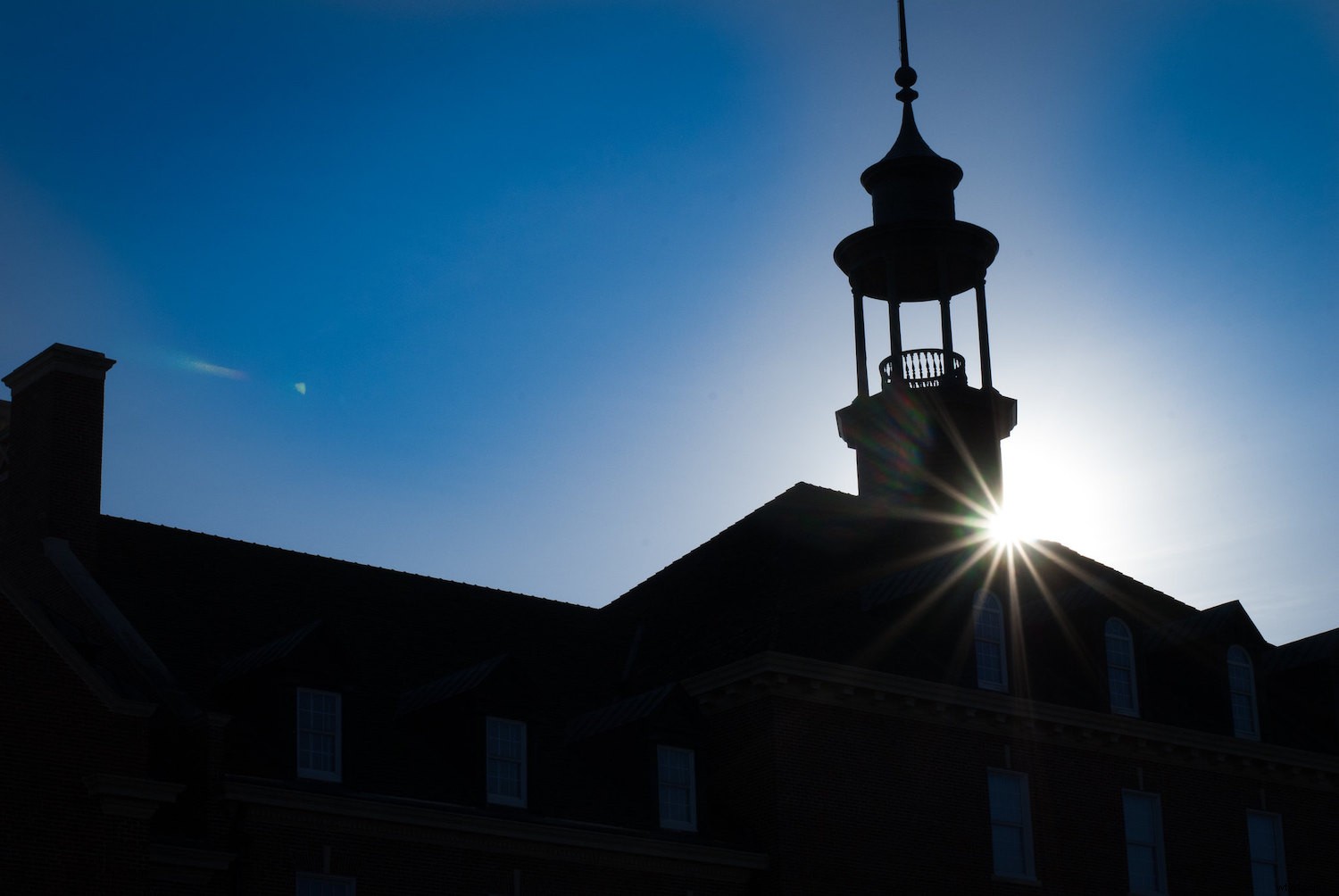 Master Backlighting in Photography: The Complete Guide to Stunning Shots