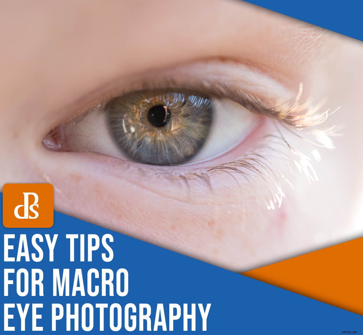 11 Expert Tips for Stunning Macro Eye Photography