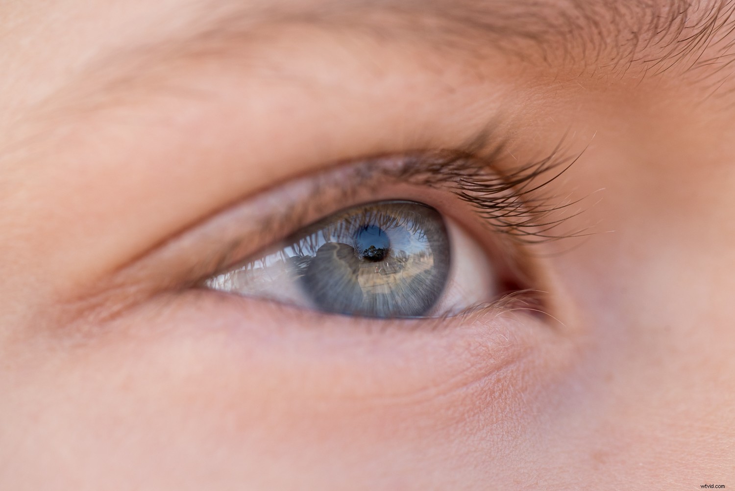 11 Expert Tips for Stunning Macro Eye Photography