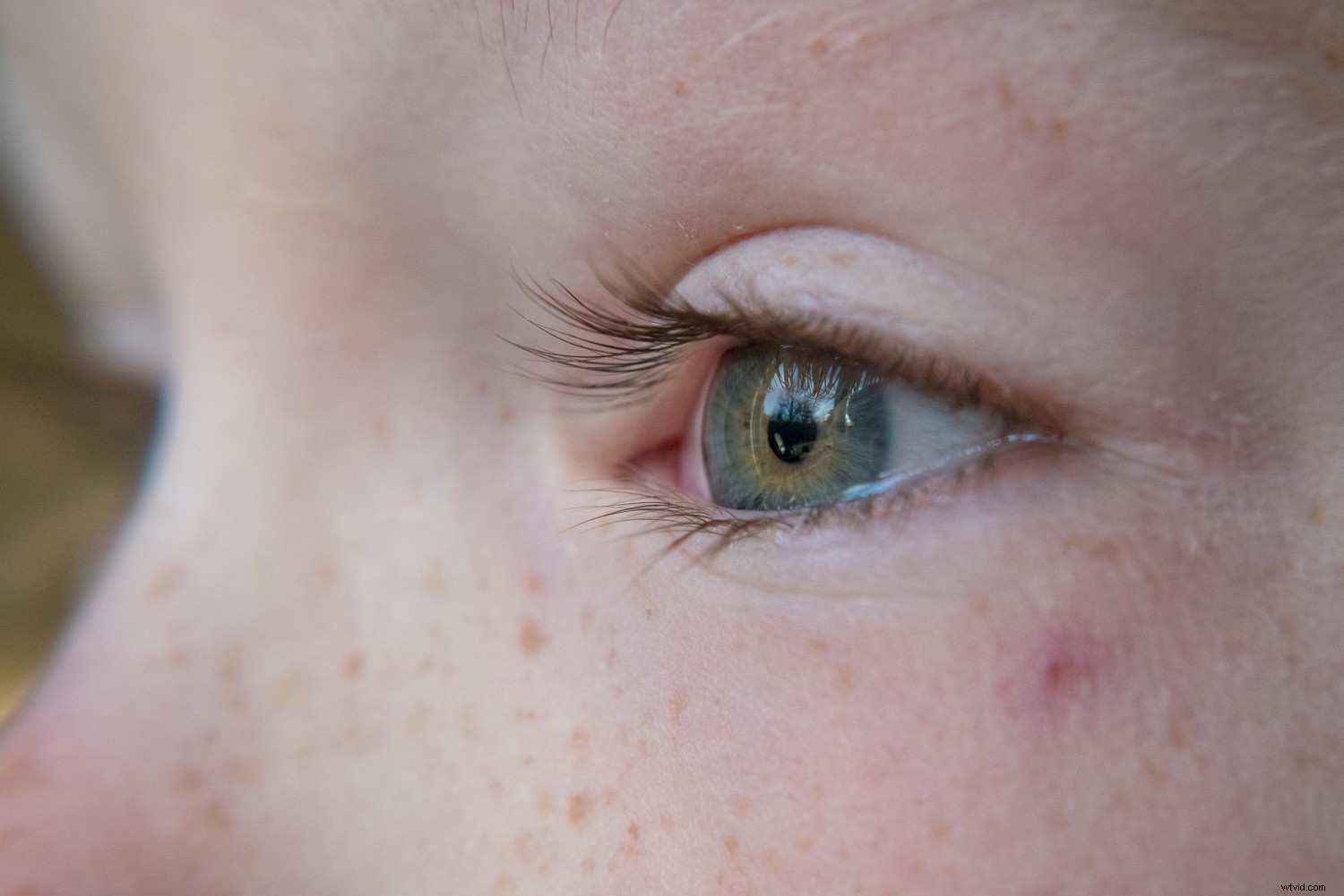 11 Expert Tips for Stunning Macro Eye Photography