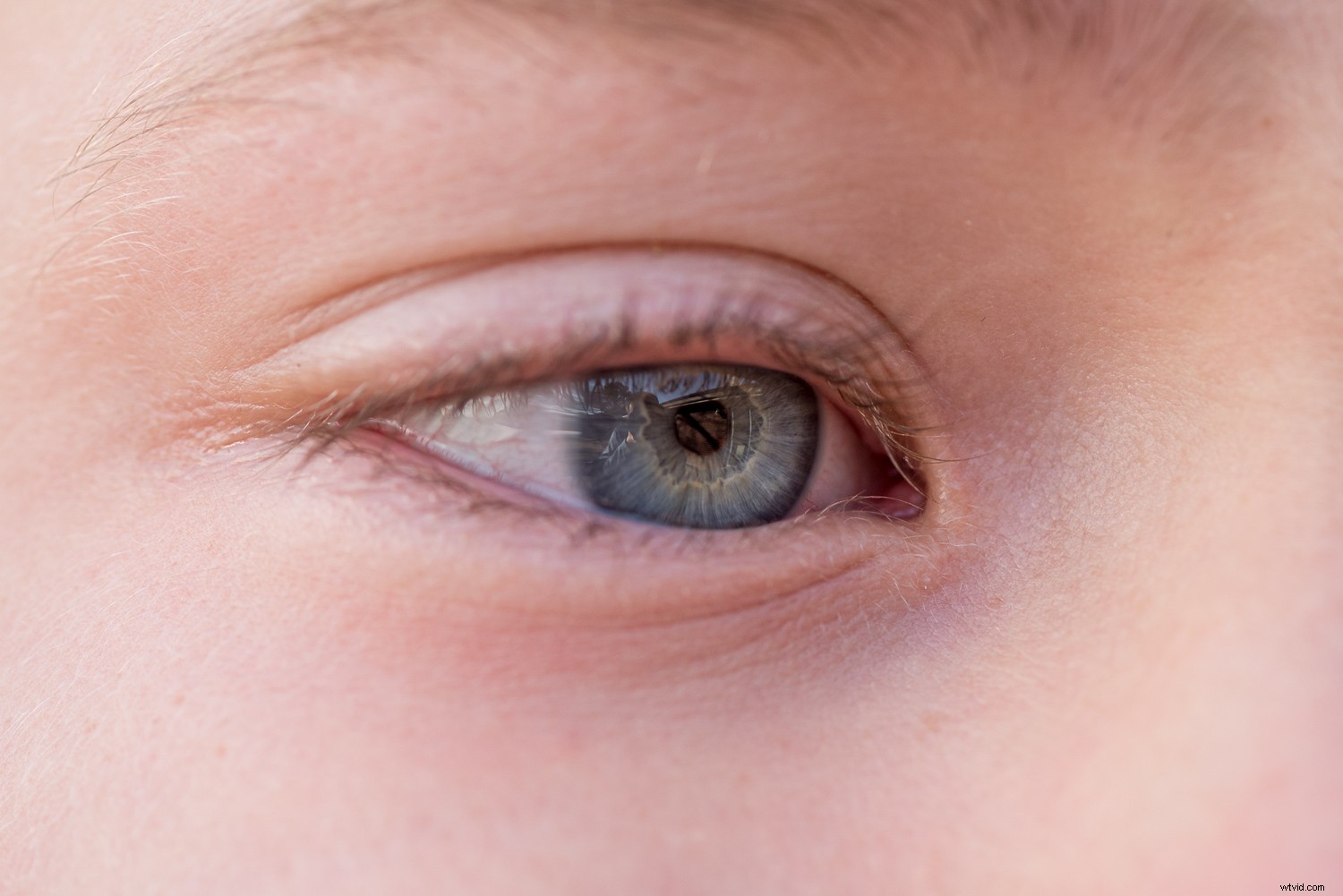 11 Expert Tips for Stunning Macro Eye Photography