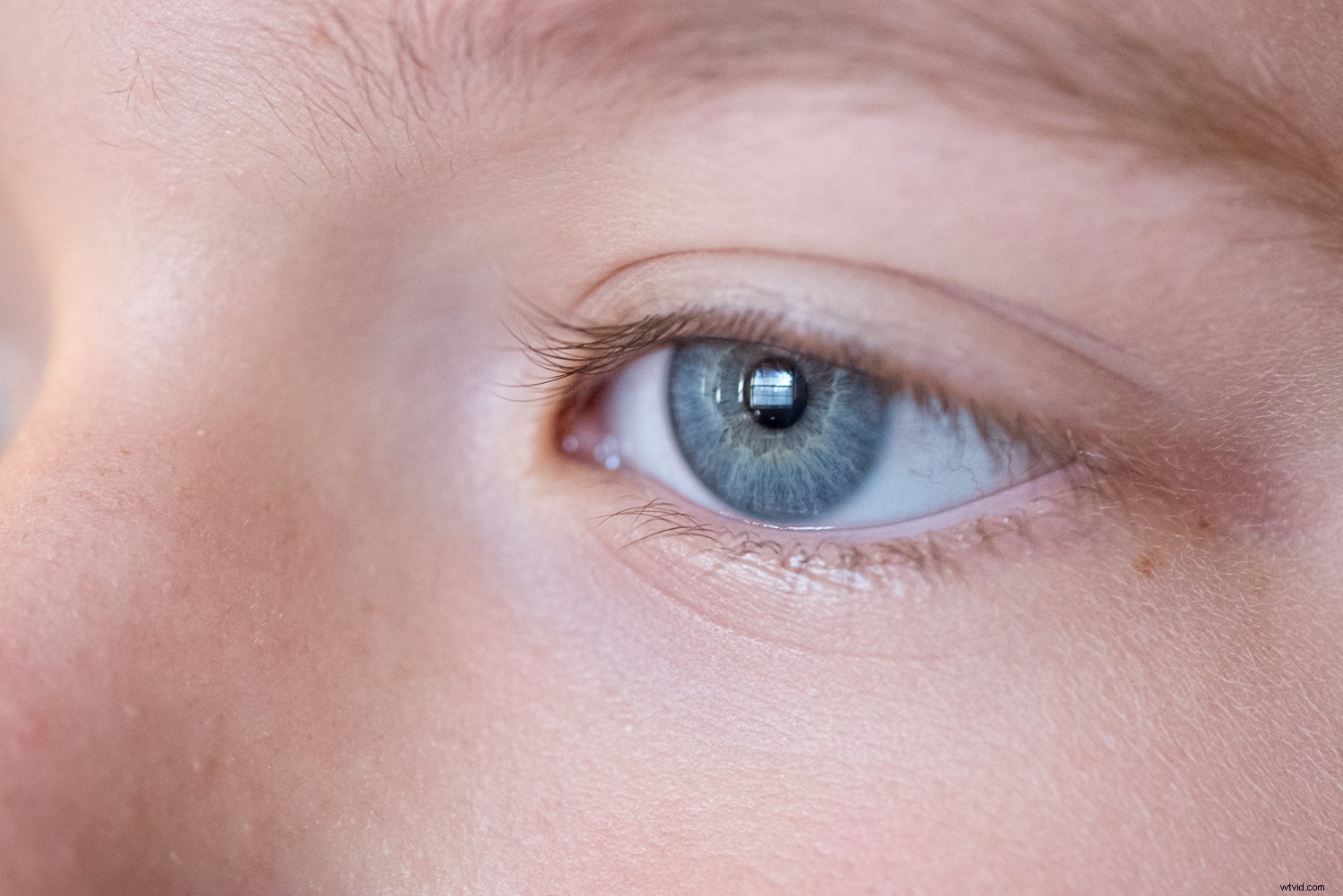 11 Expert Tips for Stunning Macro Eye Photography