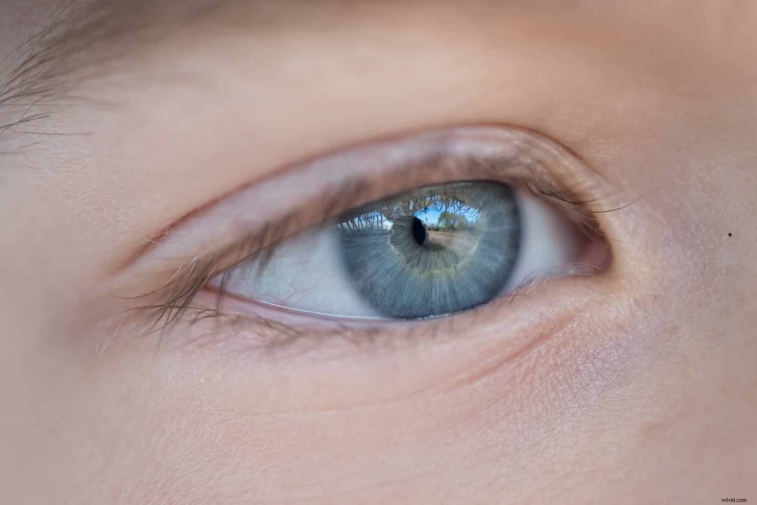 11 Expert Tips for Stunning Macro Eye Photography