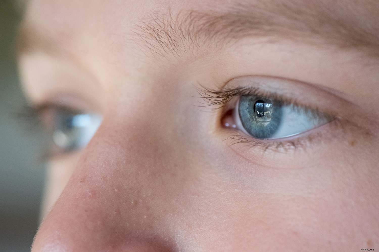 11 Expert Tips for Stunning Macro Eye Photography