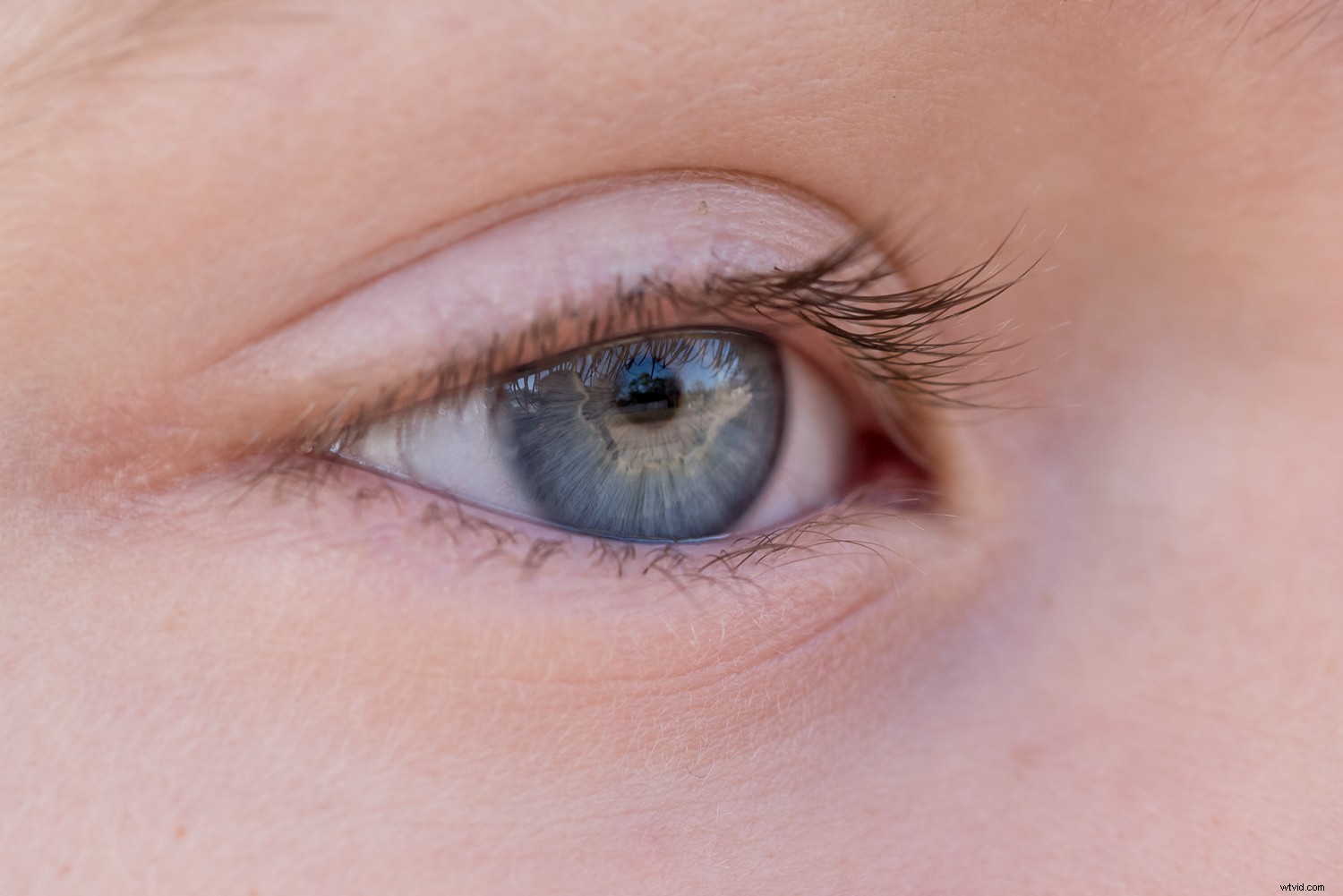 Retouch4me Review: AI-Powered Plugins for Effortless Portrait Retouching