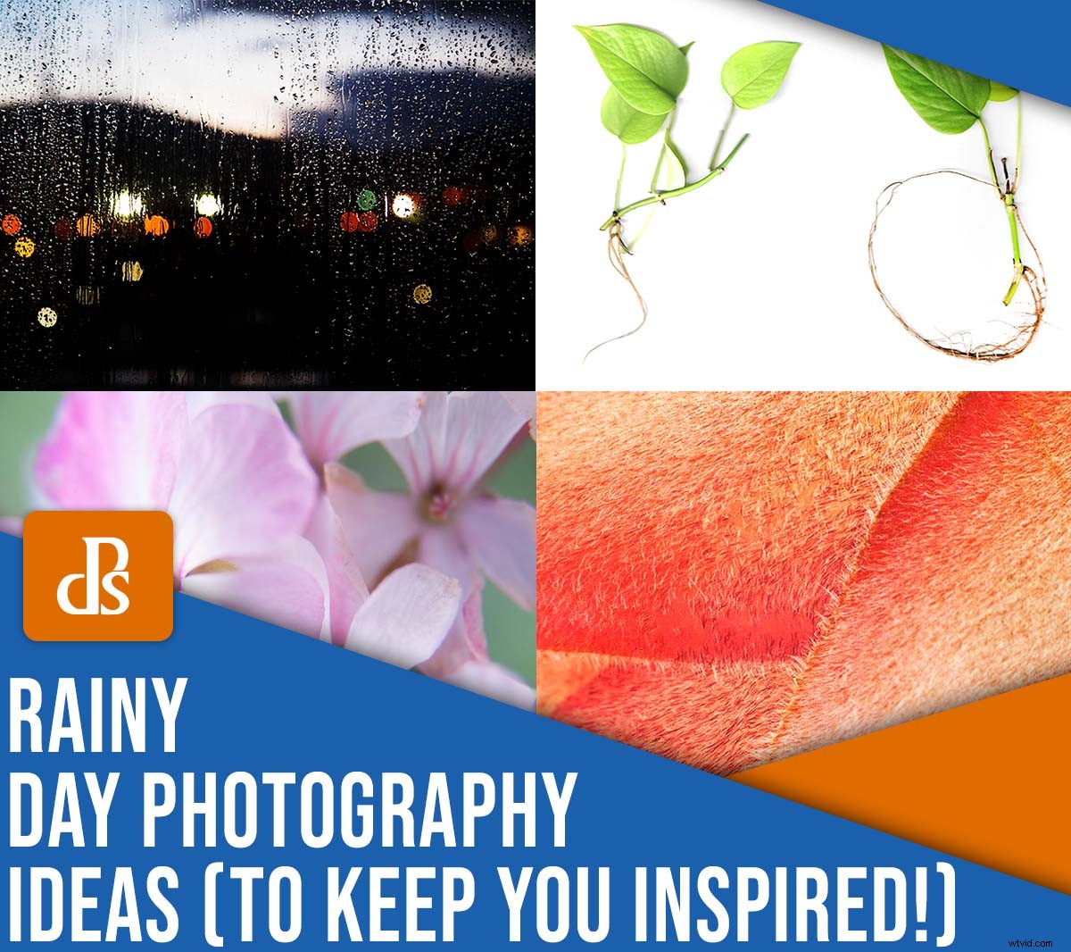 7 Creative Rainy Day Photography Ideas You Can Try at Home