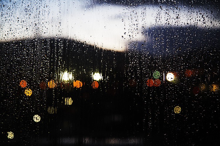 7 Creative Rainy Day Photography Ideas You Can Try at Home