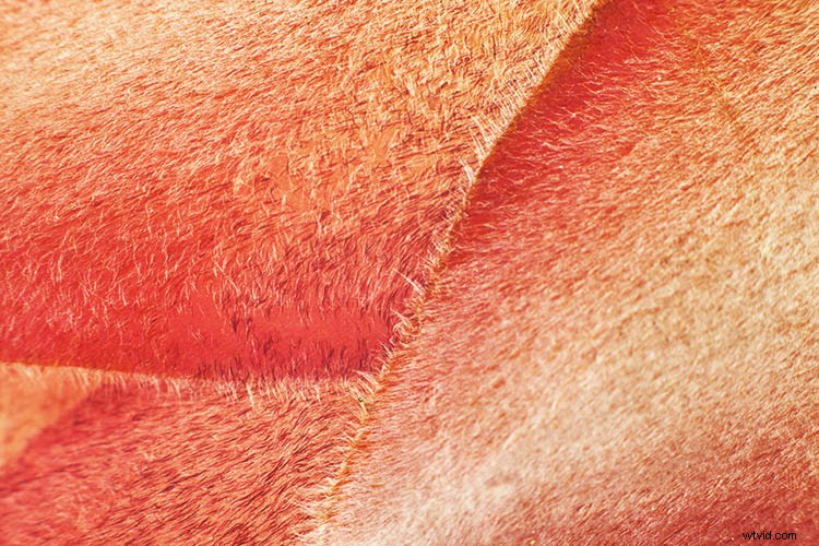 7 Creative Rainy Day Photography Ideas You Can Try at Home