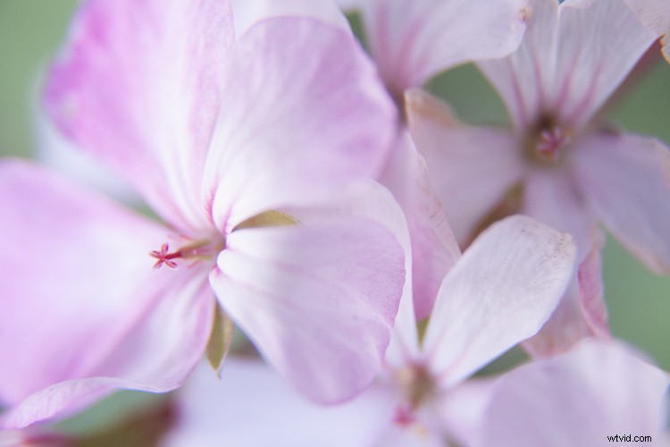 7 Creative Rainy Day Photography Ideas You Can Try at Home