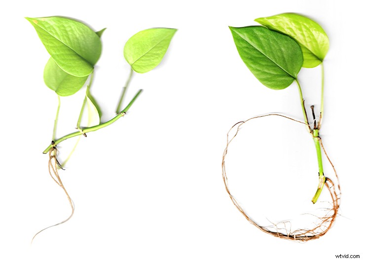 7 Creative Rainy Day Photography Ideas You Can Try at Home