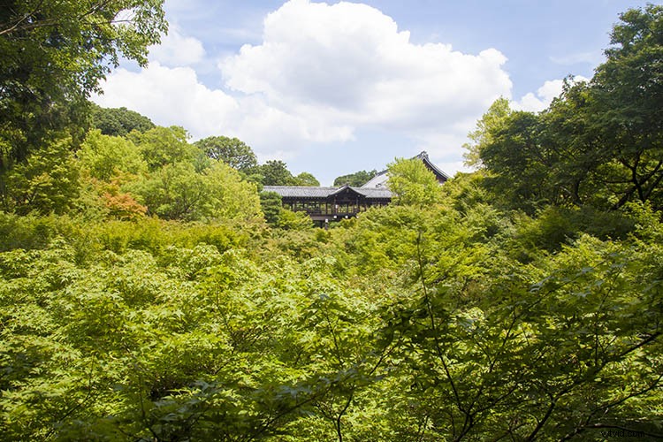 Create Stunning Infrared Effects in Photoshop: Step-by-Step Tutorial