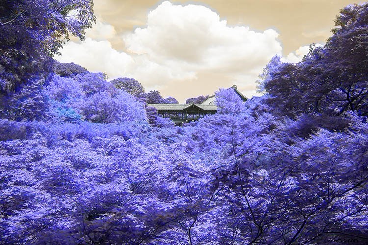 Create Stunning Infrared Effects in Photoshop: Step-by-Step Tutorial