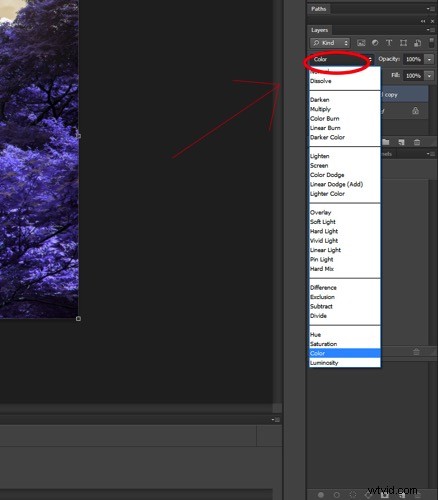 Create Stunning Infrared Effects in Photoshop: Step-by-Step Tutorial