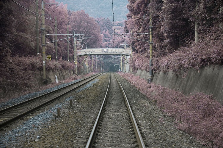 Create Stunning Infrared Effects in Photoshop: Step-by-Step Tutorial