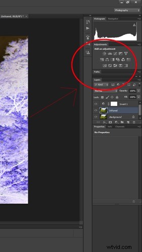 Create Stunning Infrared Effects in Photoshop: Step-by-Step Tutorial